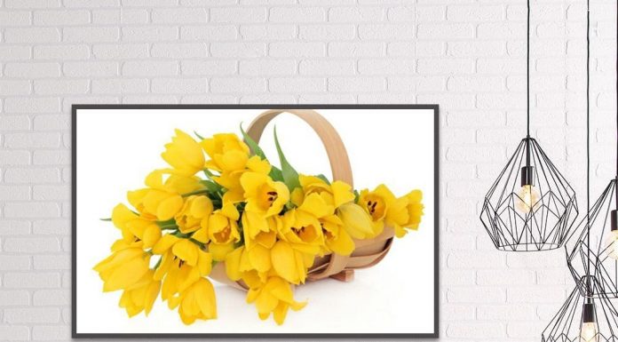 Những bông hoa có màu vàng đẹp