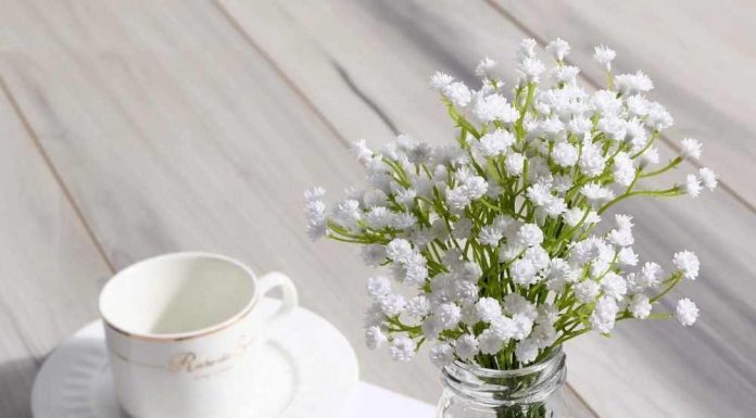 Những bình hoa để bàn thủy tinh đẹp